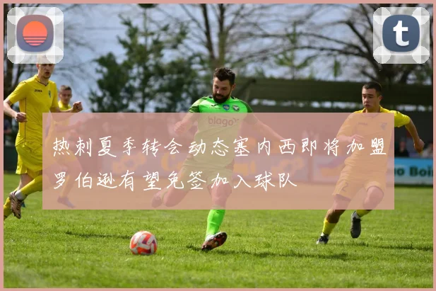 热刺夏季转会动态塞内西即将加盟罗伯逊有望免签加入球队